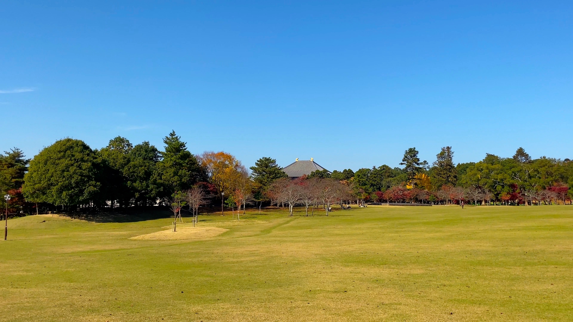 奈良公園・春日野園地